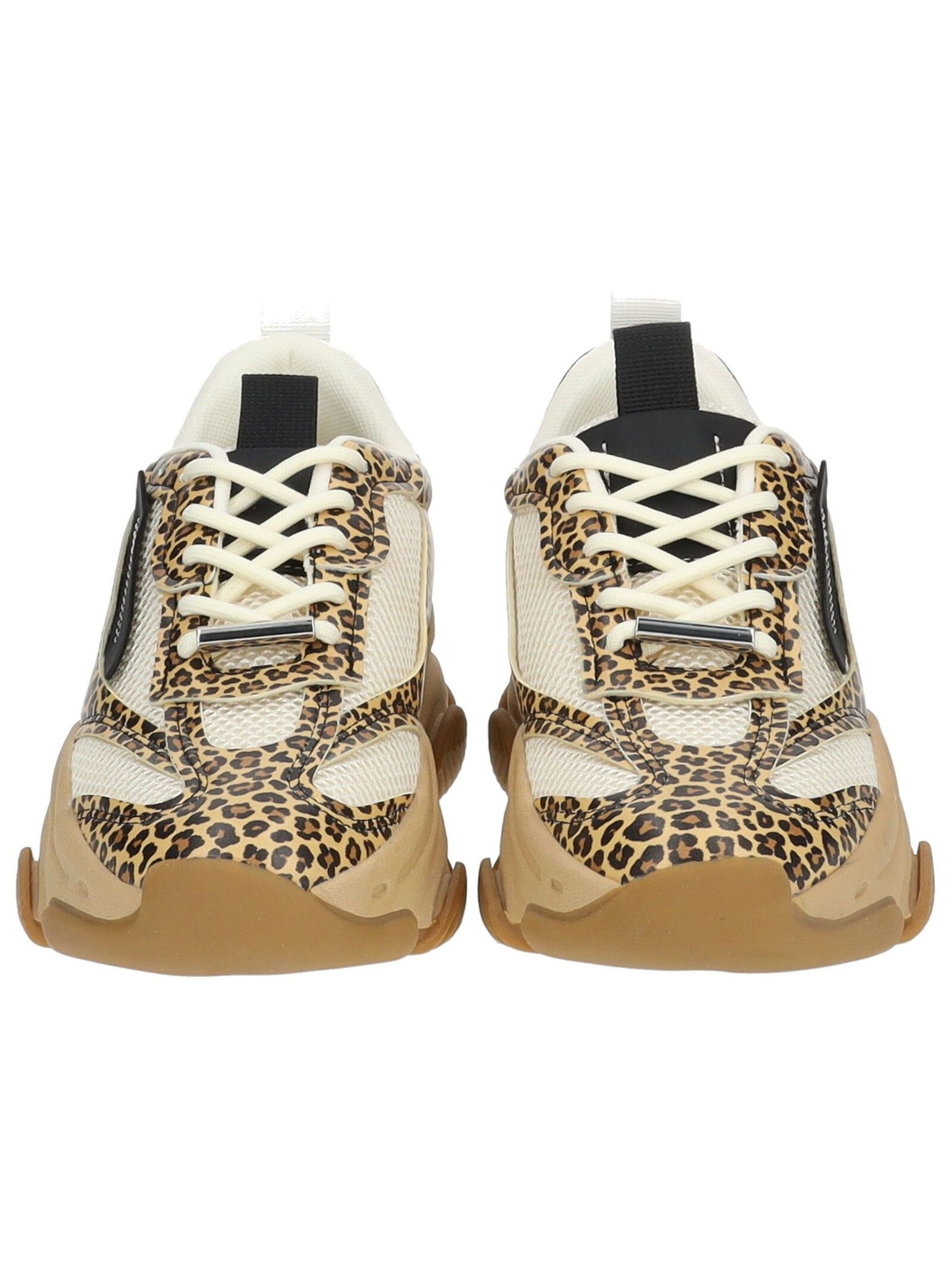 STEVE MADDEN Sneakers laag in Bruin