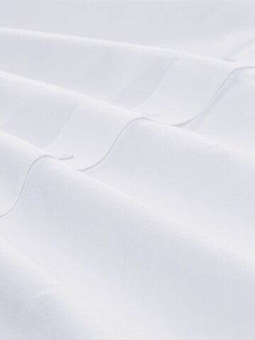 TOM TAILOR - Blusa en blanco