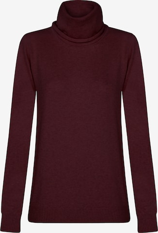 sarkans Felix Hardy Džemperis: no priekšpuses