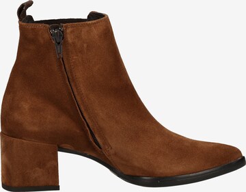 Paul Green Booties in Brown