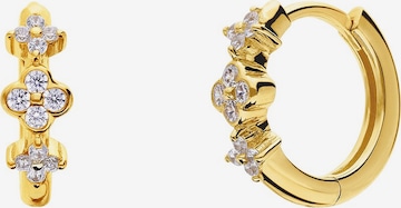 Lucardi Oorbellen in Goud: voorkant