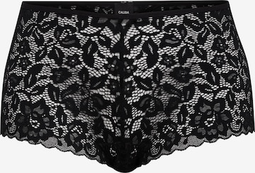 CALIDA Panty 'Natural Comfort Lace' in Black: front