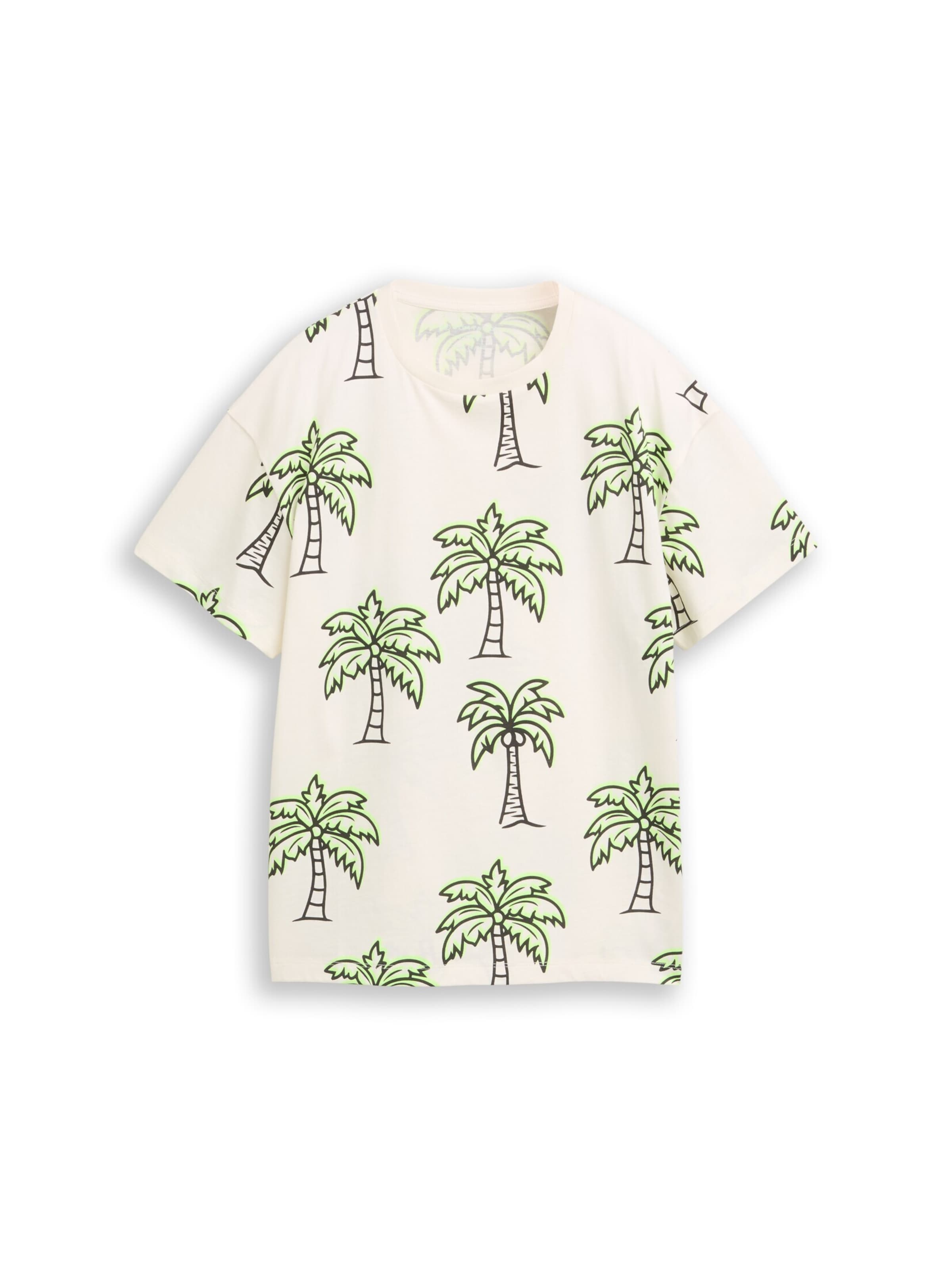 TOM TAILOR Shirt in White: front