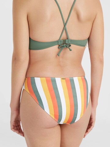 Slip bikini ' Rita' di O'NEILL in verde