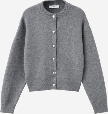 Cardigan 'FELIPE' MANGO en gris : devant