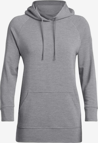 ICEBREAKER Athletic Sweatshirt 'Momentum' in Grey: front