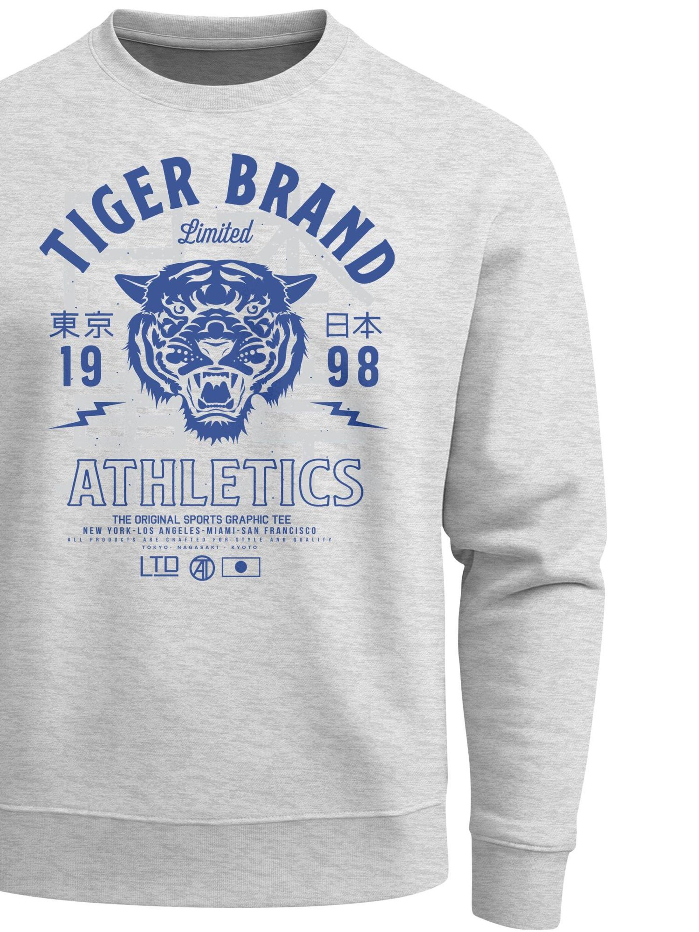 Neverless Sweatshirt 'Tiger' in Grey