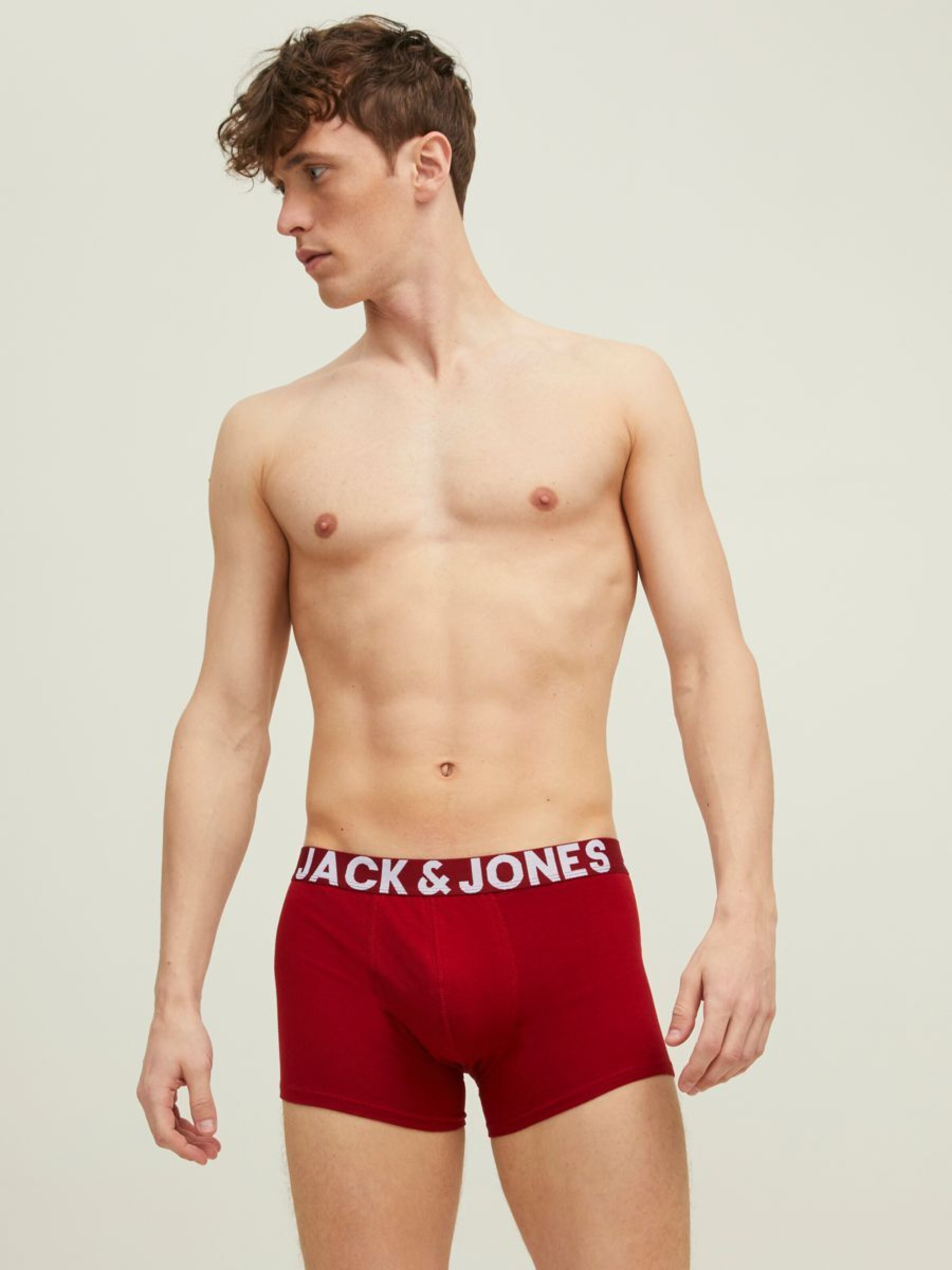 Männer Wäsche JACK & JONES Boxershorts in Mischfarben - WT67548 Männer Wäsche JACK & JONES Boxershorts in Mischfarben - WT67548