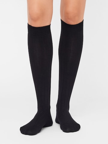 CALZEDONIA Kniestrümpfe in Schwarz