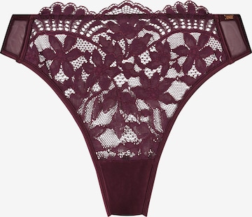 Hunkemöller Thong 'Kea' in Purple: front