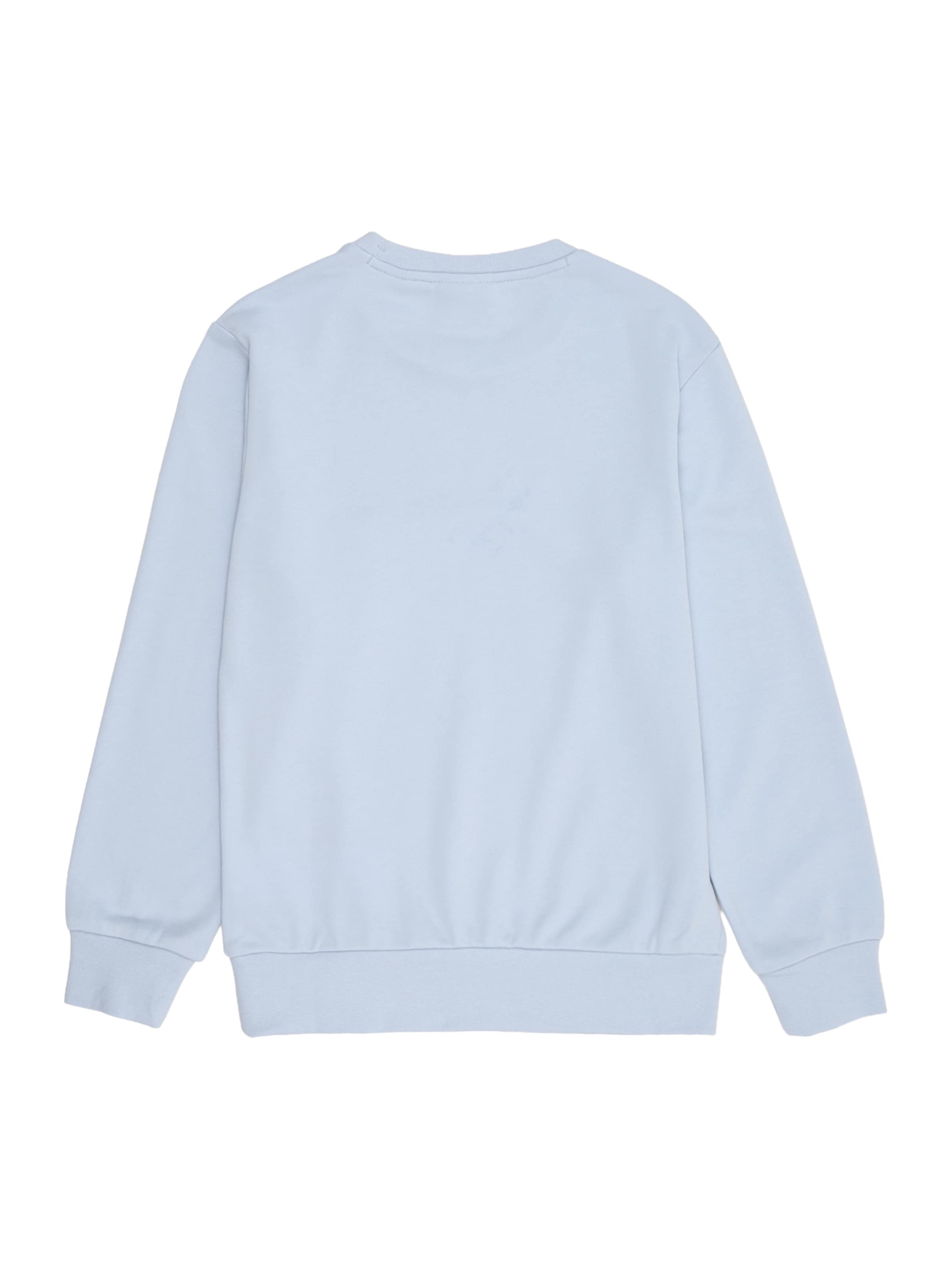 Champion Authentic Athletic Apparel Sweatshirt i blå