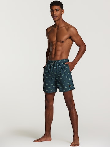 Shiwi Board Shorts in Green