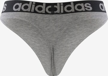 ADIDAS SPORTSWEAR Tanga ' Realasting Cotton ' in Blau, Graumeliert | ABOUT  YOU