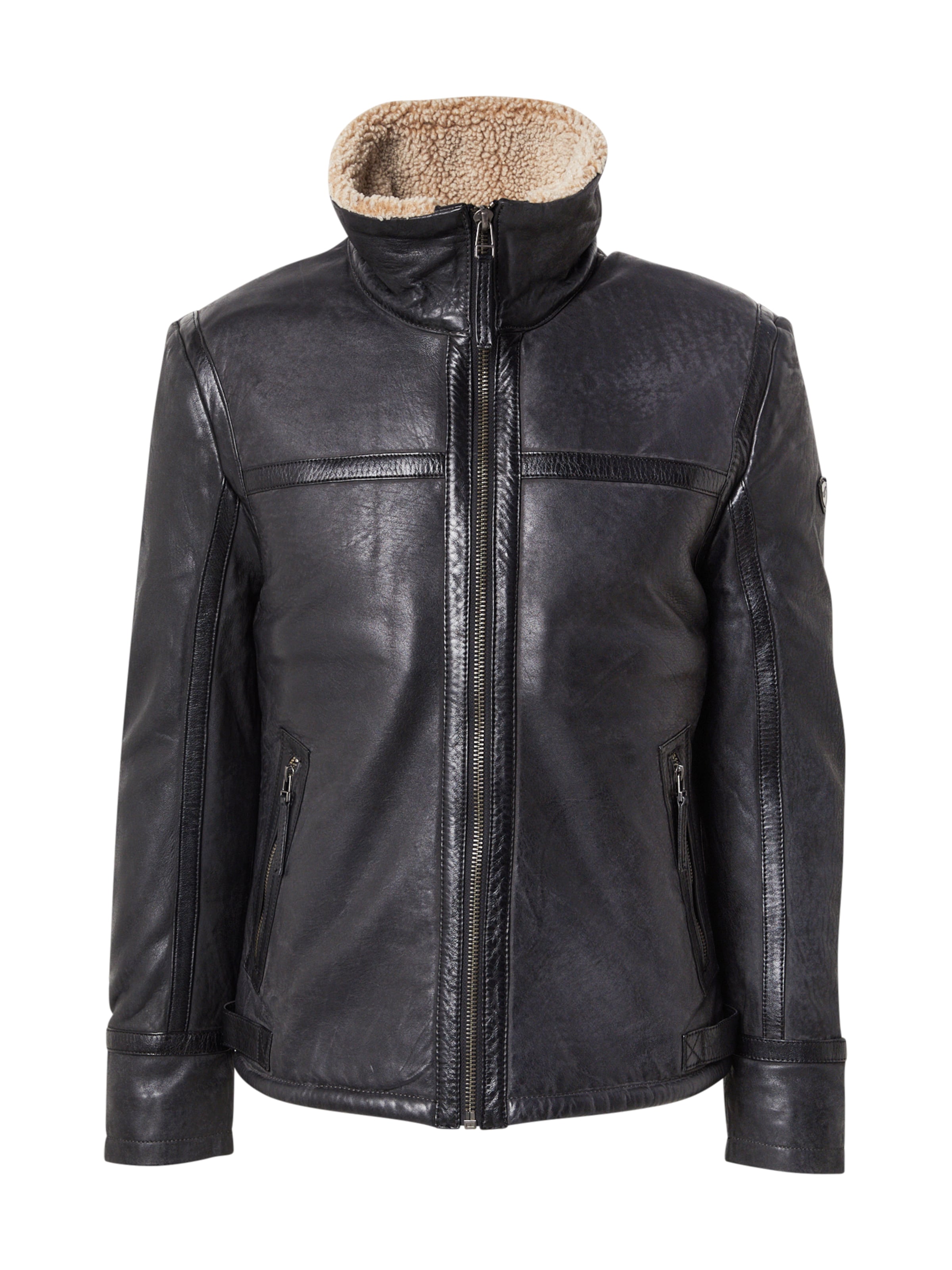 Mauritius Kevad-sügisjope 'Alasko', värv hall: eest vaates