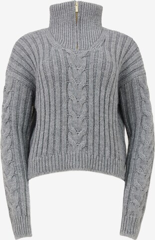 TOPTOP STUDIO Sweater Stehkragenpullover in Grau: predná strana