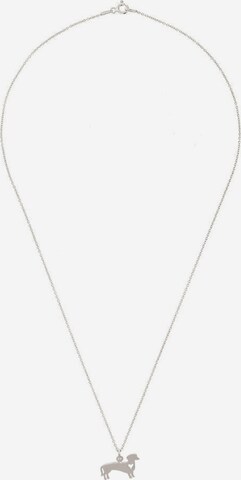 Gemshine Ketting in Zilver: voorkant