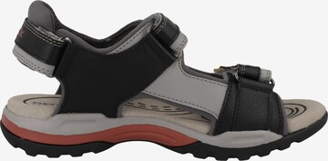 Chaussures ouvertes 'Borealis' GEOX en noir