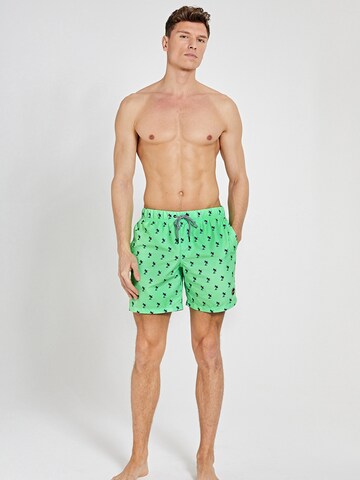 Shorts de bain Shiwi en vert