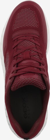 GEOX Sneakers laag ' U Outstream A ' in Rood