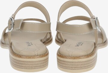 Nero Giardini Sandalen met riem in Beige