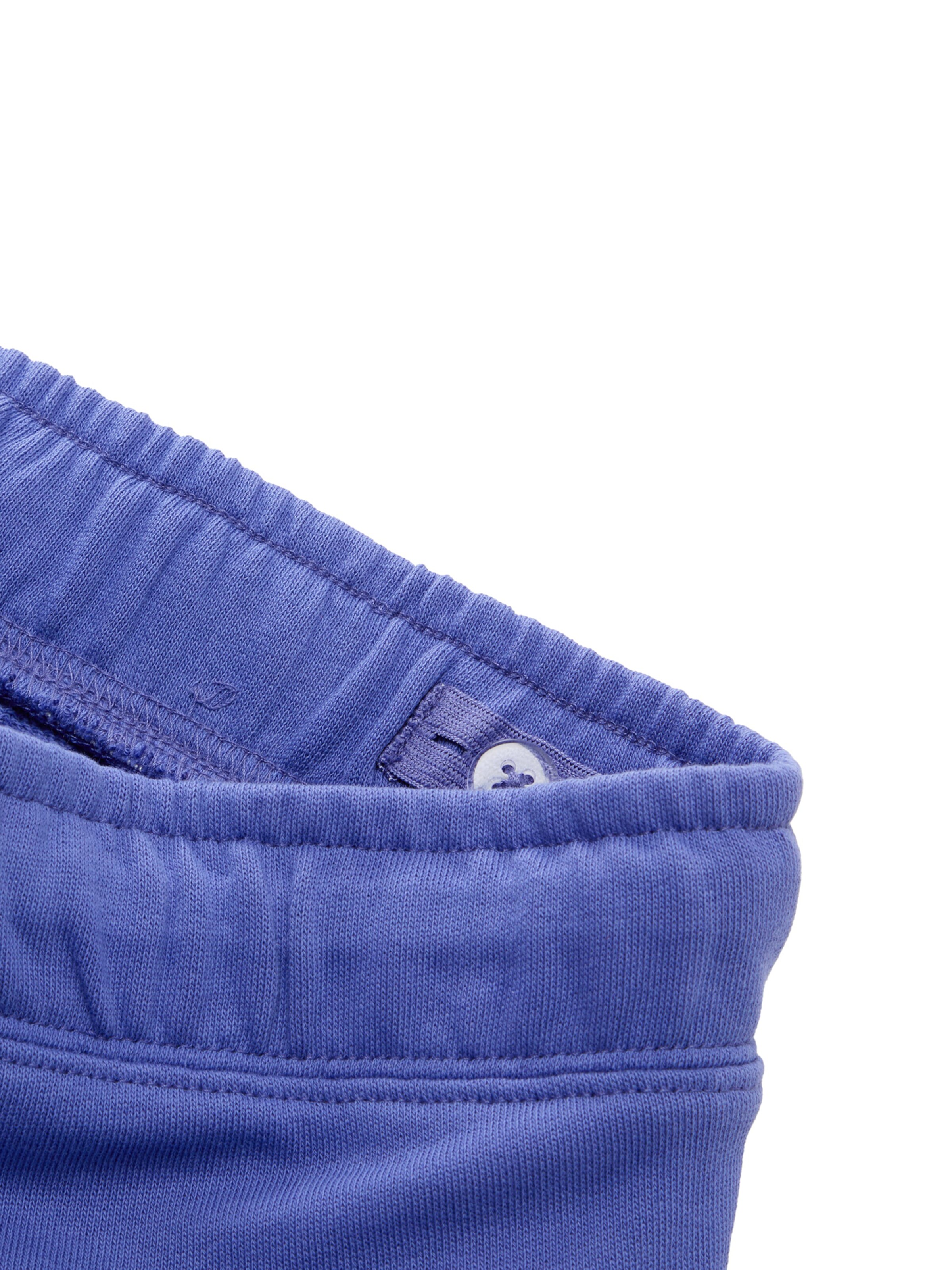 TOM TAILOR Regular Trousers in Blue