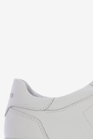 Axel Arigato Sneakers & Trainers in 39 in White