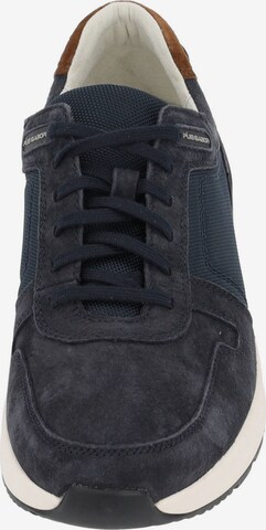 Pius Gabor Sneakers laag 'Pius' in Blauw