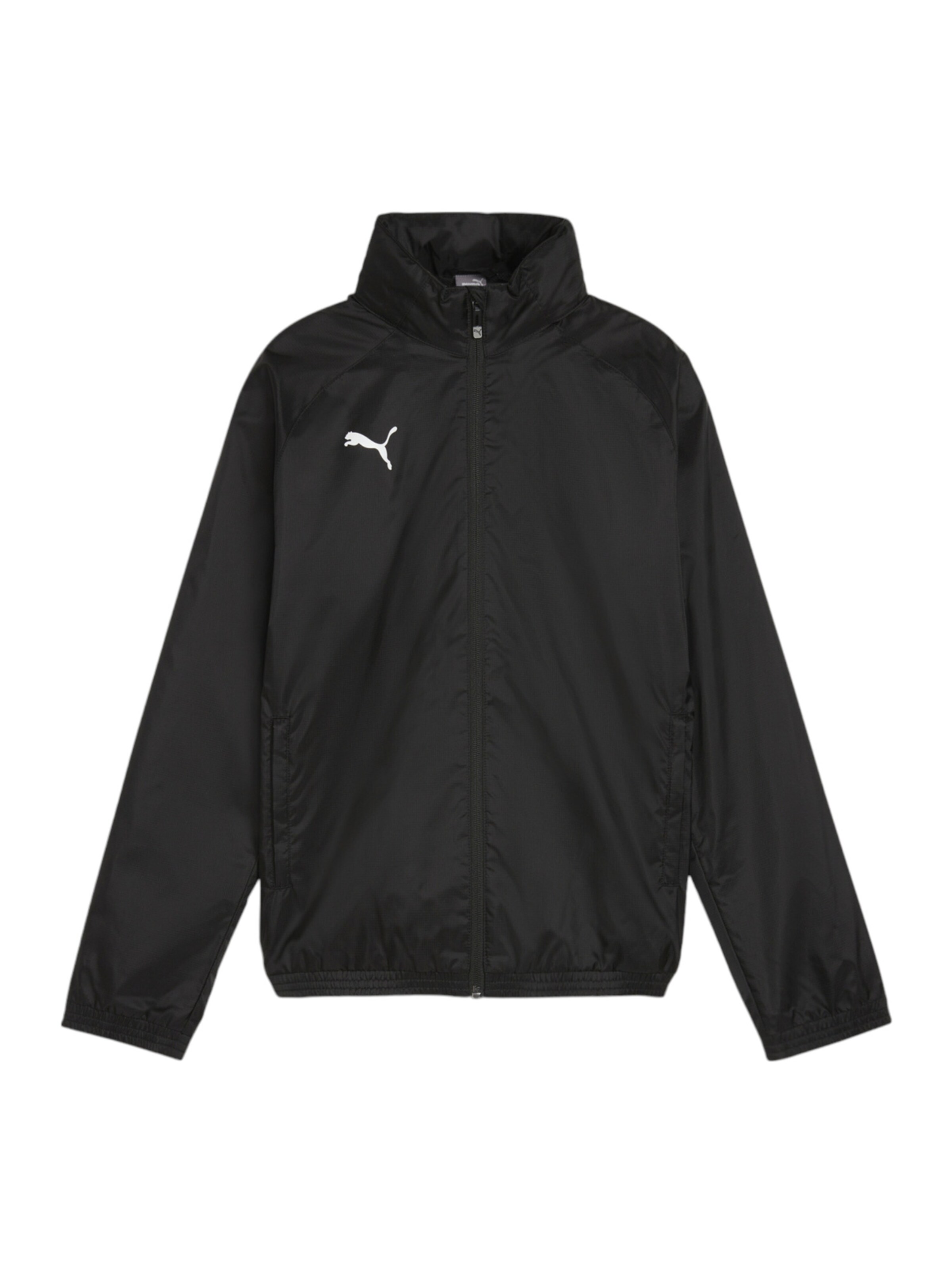 PUMA Sportjacke 'TeamGoal' in Schwarz: Vorderseite