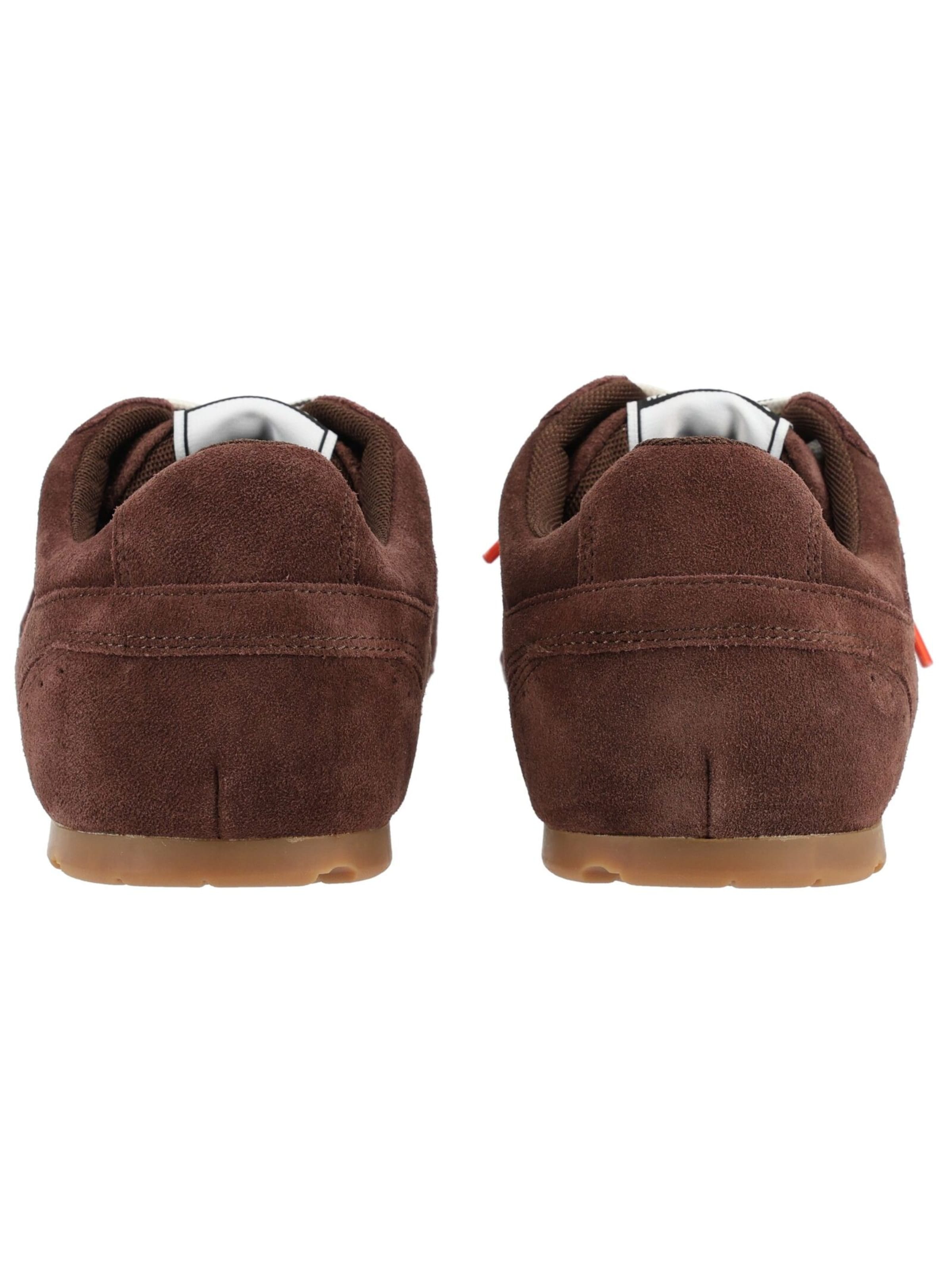 STEVE MADDEN Platform trainers in Brown