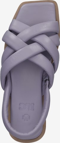 Sandales ILC en violet