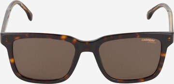 Carrera Sunglasses '251/S' in Brown