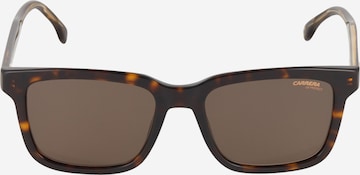 Carrera Sonnenbrille '251/S' in Braun