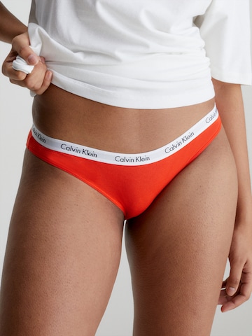 jauktas krāsas Calvin Klein Underwear Biksītes