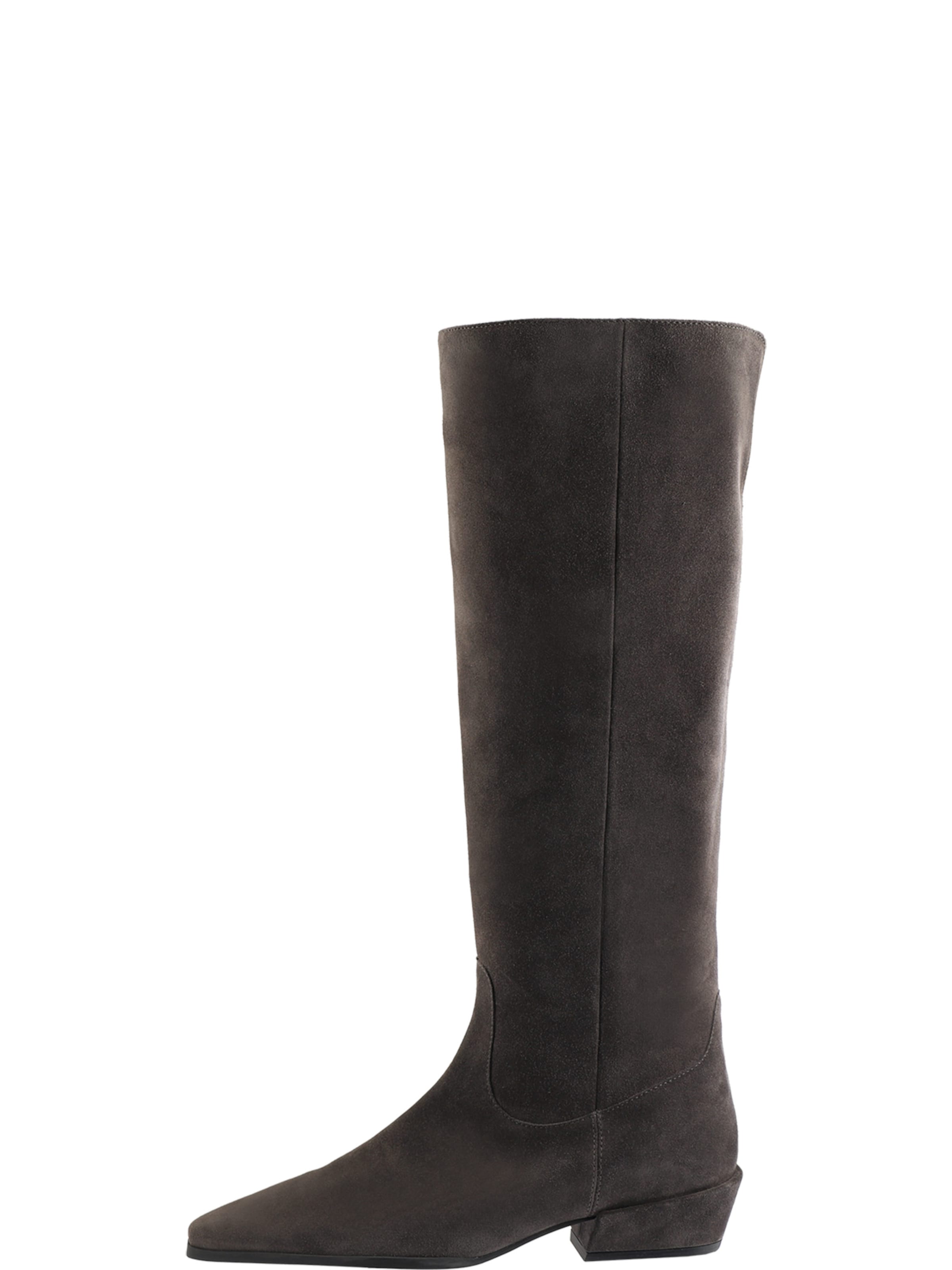 Bottines 'LOU' Högl en gris : devant