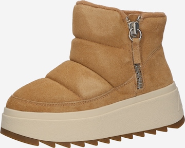 ASH Schoenen voor dames Shop online ABOUT YOU