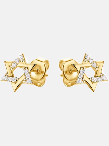 DIAMANT LETERNEL Earrings in Yellow: front