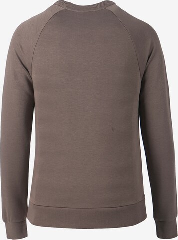 Athlecia Athletic Sweater in Brown