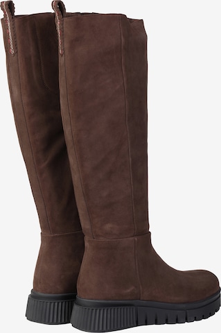 Crickit Boots 'Naike' in Brown