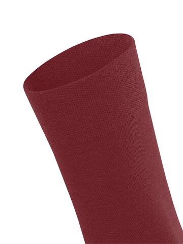 FALKE Socken 'Sensitive Berlin'‌‌‌‌ in Rot