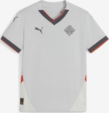 T-Shirt fonctionnel 'Island 2024' PUMA en gris : devant