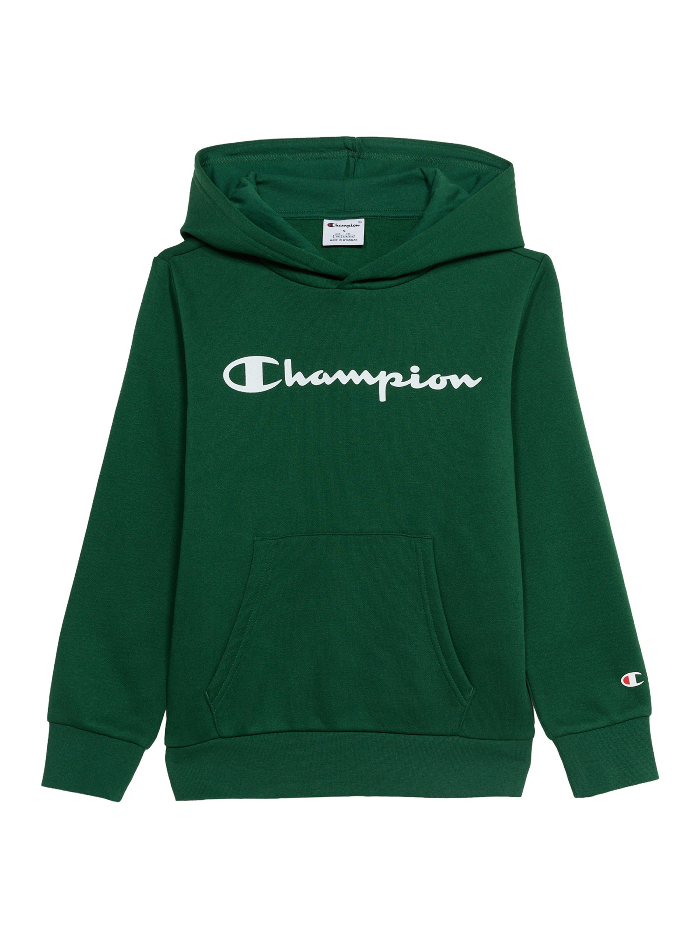 zaļš Champion Authentic Athletic Apparel Sportisks džemperis: no priekšpuses