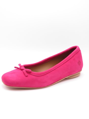 Apple of Eden - Bailarina 'Ziv' en rosa