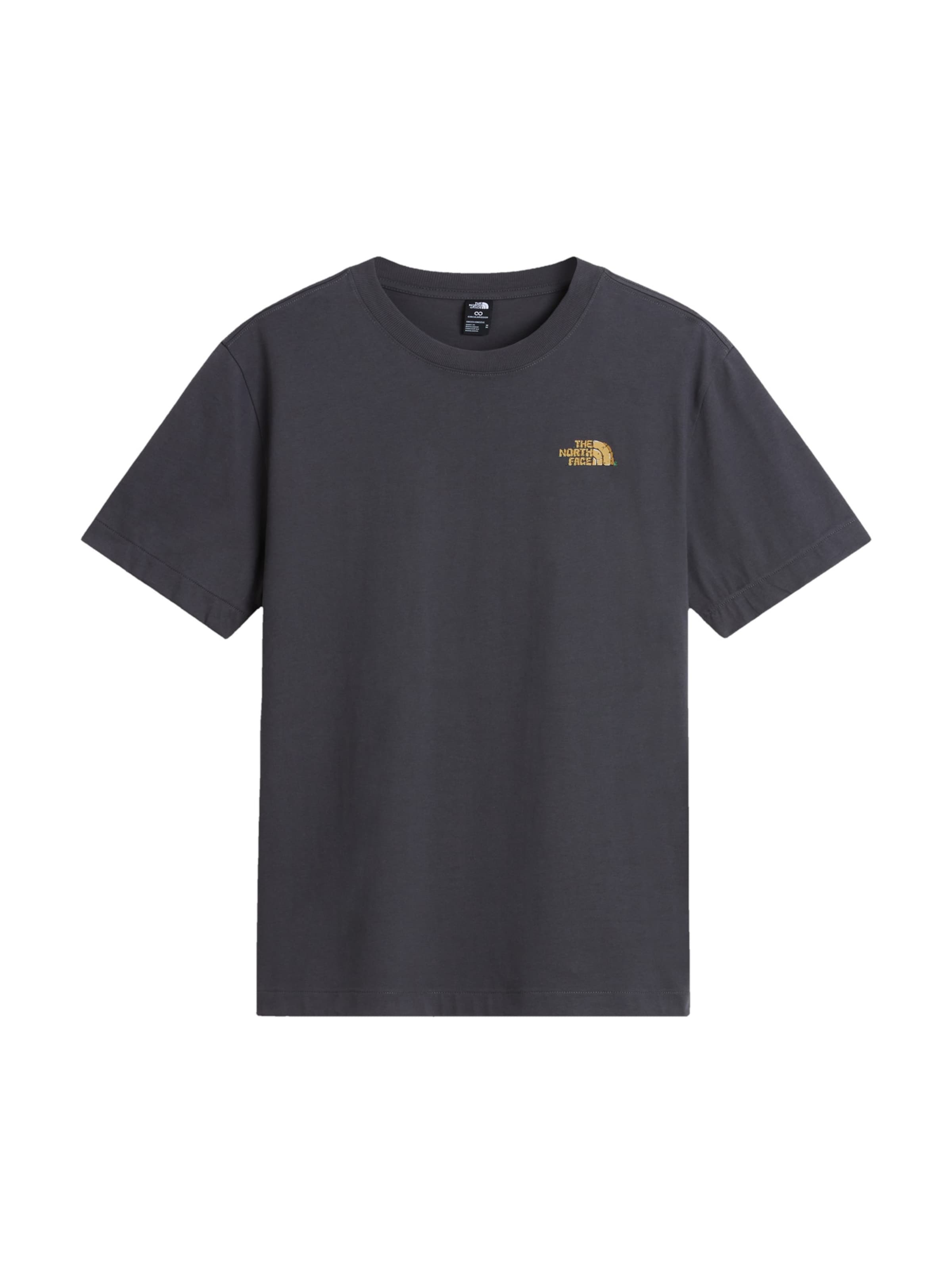 THE NORTH FACE T-Shirt in Grau: Vorderseite