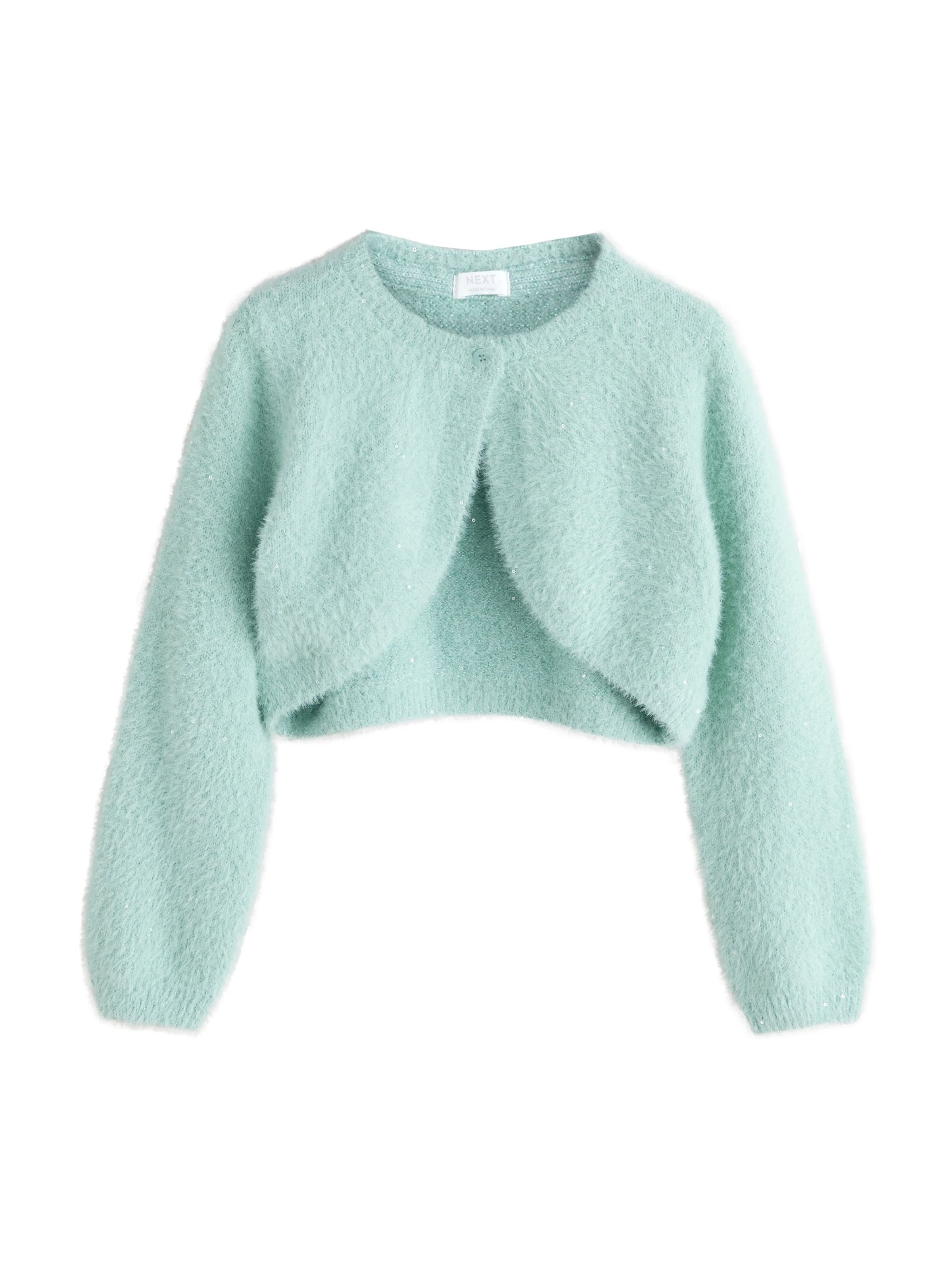 Next Strickjacke in Blau: Vorderseite