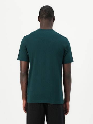 Maglietta 'TREFOIL SERIES REGULAR' di ADIDAS ORIGINALS in verde: dietro