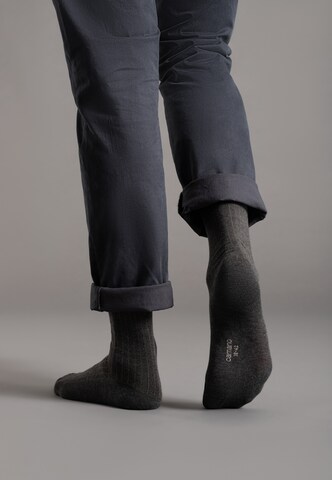 Chaussettes camano en gris