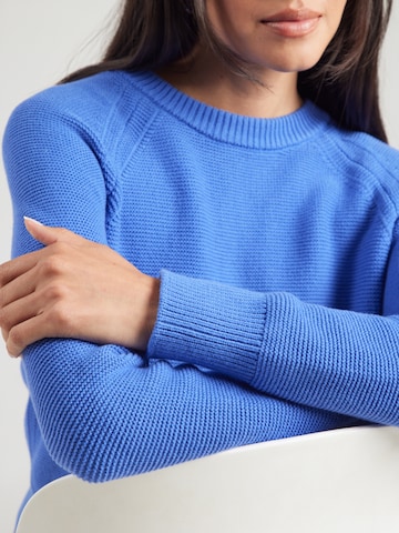 Pullover di FRENCH CONNECTION in blu