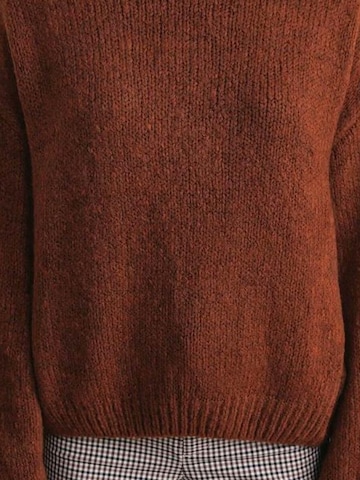MixRay Sweter 'Pullover' w kolorze brązowy