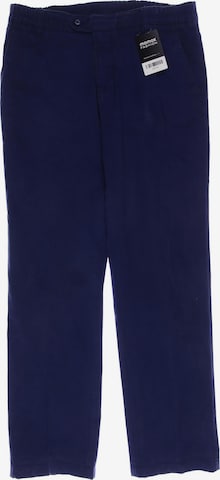 Walbusch Pants in 32 in Blue: front