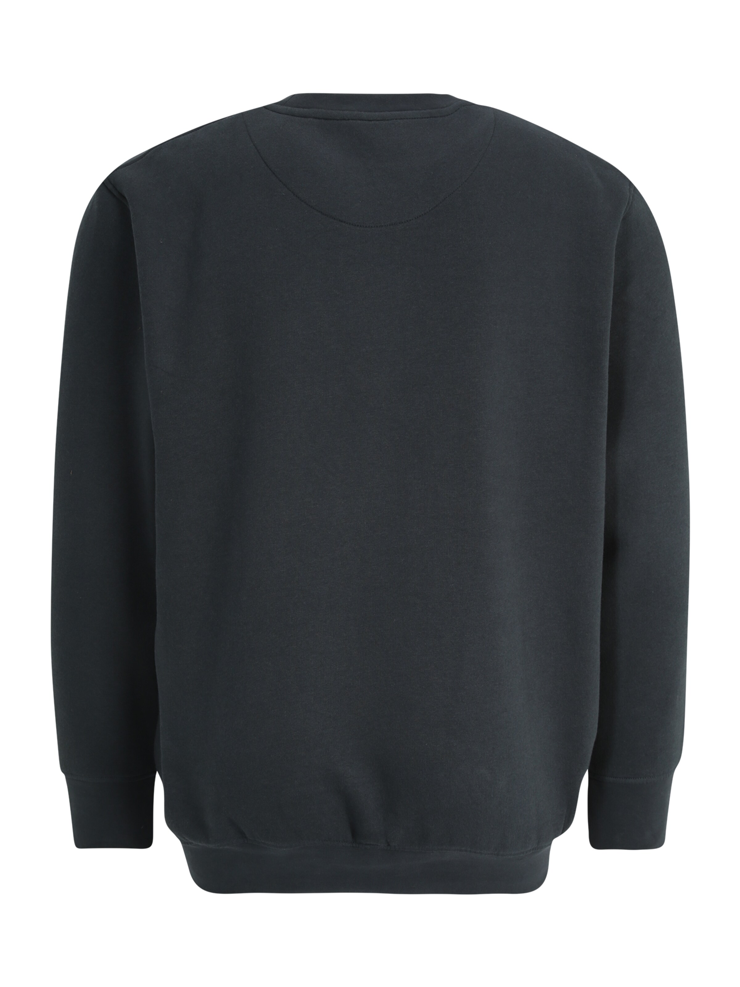 Sweat-shirt 'VESTERBRO' Jack & Jones Plus en vert